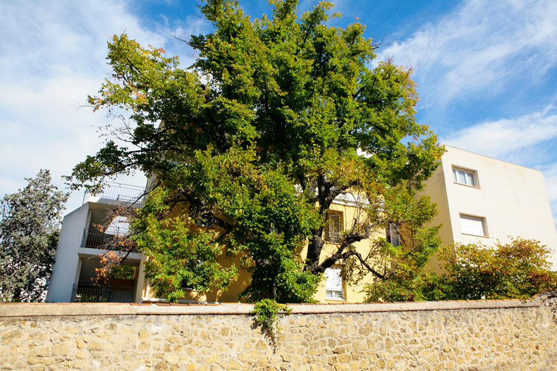 EHPAD Résidence La Bastide Saint Jean Marseille