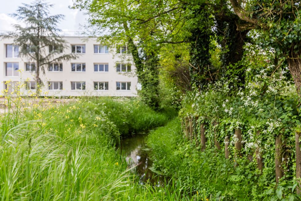 EHPAD Centre Alzheimer Les Parentèles Mérignac Mérignac